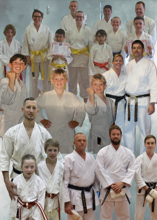 Williams Family Karate Academy - Karate for Everyone